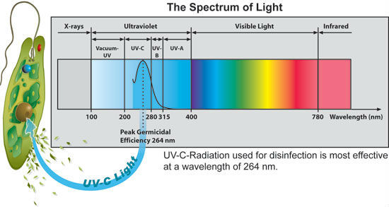 Lámpara ULTRAVIOLETA UVC batericidal germicida de la esterilización 17/36/37/41w del último tubo en forma de 